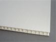 Correx board for sign making